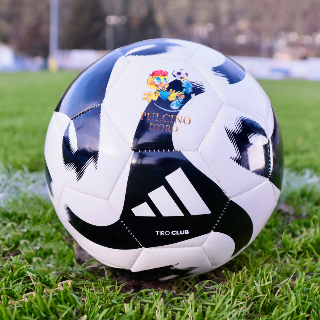 Pallone Nero Pulcino d'Oro - Tiro Club Adidas Misura 4